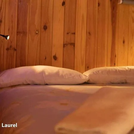 La Casa Del Druida Appartamento