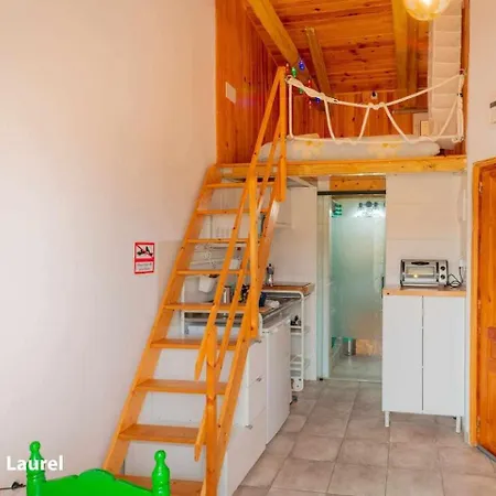 La Casa Del Druida *
