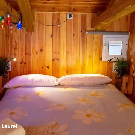 La Casa Del Druida Apartment Malaga