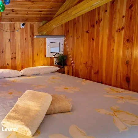 La Casa Del Druida *