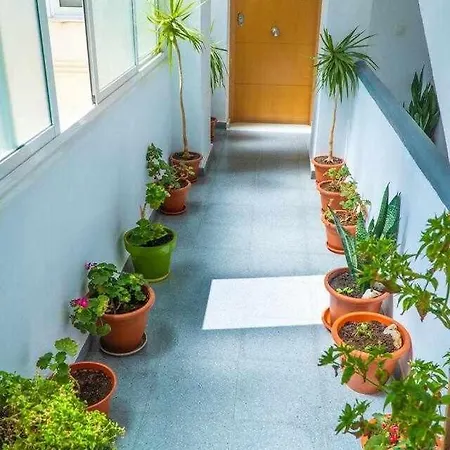 La Casa Del Druida *